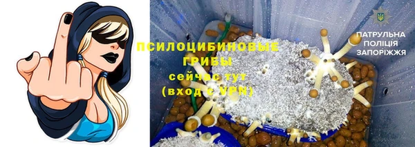 СК Бугульма