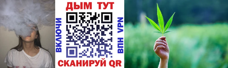 гидра   Новосибирск  Бошки Шишки план 